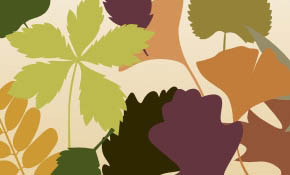 Leave vector silhouettes